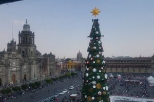 La-Terraza.mx > La Mejor Fuente de Información para Trámites en México